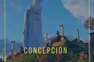 Notarías en Concepción
