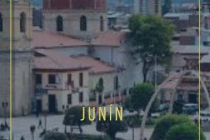 Notarías en Junín