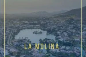 Notarías en La Molina