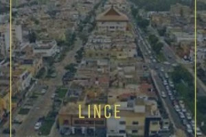 Notarías en Lince