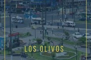 Notarías en Los Olivos
